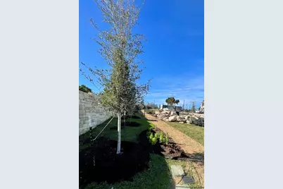 9803 Ribelin Ranch Ct Court #15, Austin, TX 78750 - Photo 23