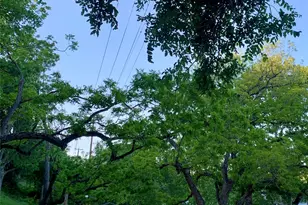 2103 Crazyhorse Pass, Austin, TX 78734 - Photo 15