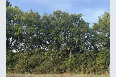 1447 Fm 713, Lockhart, TX 78644 - Photo 1