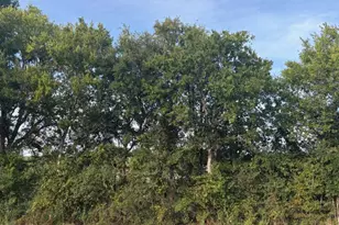 1447 FM713, Lockhart, TX 78644 - Photo 1