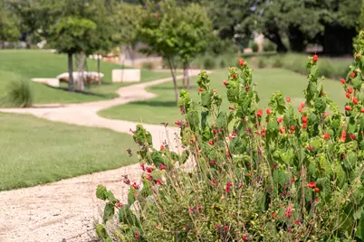 1417 Jolie Rose Bend, Leander, TX 78641 - Photo 19