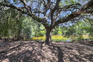 3995 Co Rd 405, Lexington, TX 78947 - Photo 27