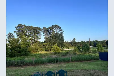 124 Alum Creek Drive, Paige, TX 78659 - Photo 17