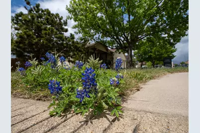 100 Linsey Cove, Burnet, TX 78611 - Photo 31