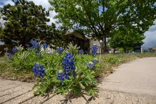 100 Linsey Cove, Burnet, TX 78611 - Photo 31