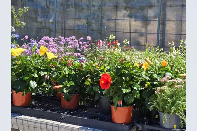 174 Falcon Drive, Luling, TX 78648 - Photo 29