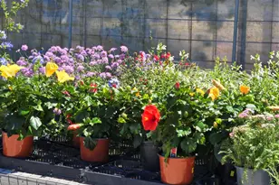 174 Falcon Dr, Luling, TX 78648 - Photo 29