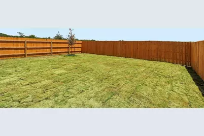 267 Mountain Pea Road, Kyle, TX 78640 - Photo 33