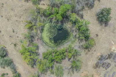 763 Upper Elgin River Road, Elgin, TX 78621 - Photo 33