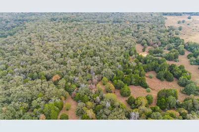 Tbd County Road #415, Lexington, TX 78947 - Photo 5