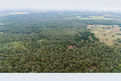 Tbd County Road #415, Lexington, TX 78947 - Photo 3