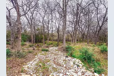 115 Deep Woods Court, Cedar Creek, TX 78612 - Photo 5