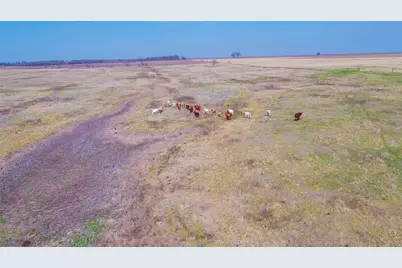 659 County Road 463, Thorndale, TX 76577 - Photo 31