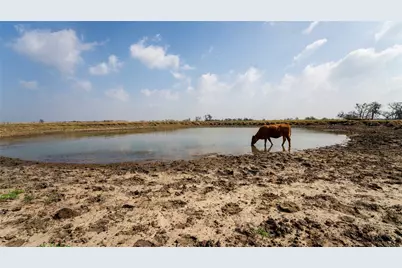 659 County Road 463, Thorndale, TX 76577 - Photo 5