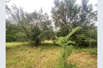 0000 Fm 141, Dime Box, TX 77853 - Photo 9