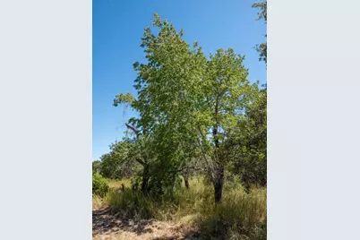 840 Forest View Drive, Blanco, TX 78606 - Photo 19