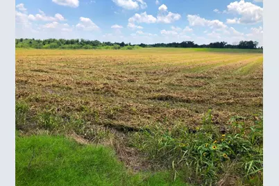 Tbd Cr 421, Thrall Tx 765 County Road 421, Thrall, TX 76578 - Photo 5