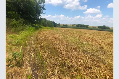 Tbd Cr 421, Thrall Tx 765 County Road 421, Thrall, TX 76578 - Photo 17