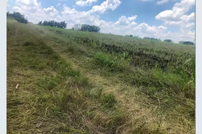 Tbd Cr 421, Thrall Tx 765 County Road 421, Thrall, TX 76578 - Photo 13