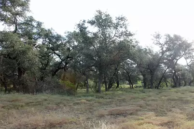 4585 County Road 108, Burnet, TX 78611 - Photo 9