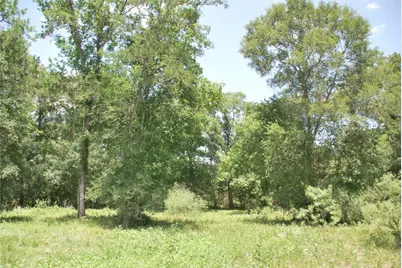Tbd Cr 420, Waelder, TX 78959 - Photo 17