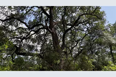 Tbd Cr 420, Waelder, TX 78959 - Photo 13