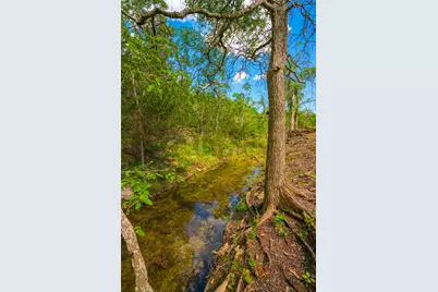 000 Spring Creek Ranch, Dripping Springs, TX 78676 - Photo 13
