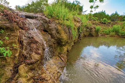 000 Spring Creek Ranch, Dripping Springs, TX 78676 - Photo 3