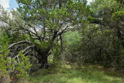 179 Shawnee Trail, Dripping Springs, TX 78620 - Photo 3