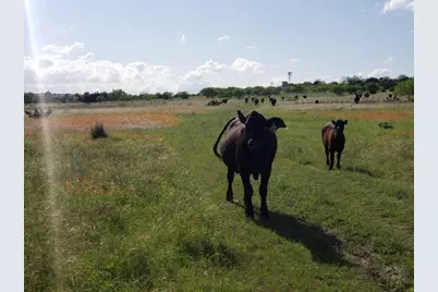 7947 County Road 1255, Lampasas, TX 76550 - Photo 15