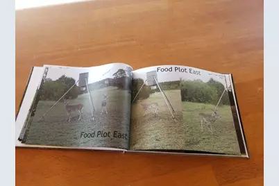 7947 County Road 1255, Lampasas, TX 76550 - Photo 23