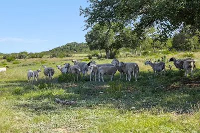 1081 County Road 1320, Lampasas, TX 76550 - Photo 13