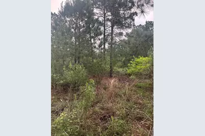 Lot 1491 Haleakala, Bastrop, TX 78602 - Photo 5