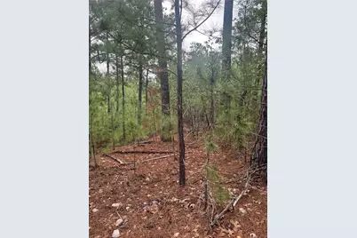 Lot 1491 Haleakala, Bastrop, TX 78602 - Photo 7