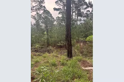 Lot 1491 Haleakala, Bastrop, TX 78602 - Photo 3