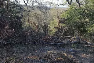 702 FM1209, Bastrop, TX 78602 - Photo 1