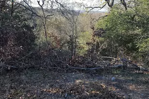 702 FM1209, Bastrop, TX 78602 - Photo 1