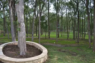 142 Llano Ct, Cedar Creek, TX 78612 - Photo 35