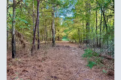 Tbd County Road 4025, Lovelady, TX 75851 - Photo 21