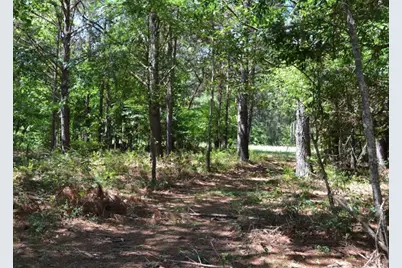 Tbd County Road 4025, Lovelady, TX 75851 - Photo 3