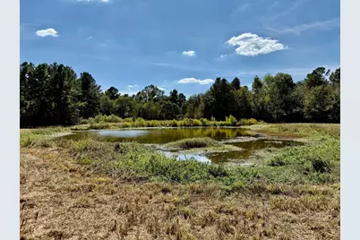 Tbd County Road 4025, Lovelady, TX 75851 - Photo 11