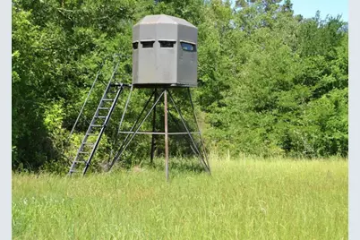 Tbd County Road 4025, Lovelady, TX 75851 - Photo 27