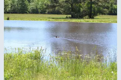 Tbd County Road 4025, Lovelady, TX 75851 - Photo 5