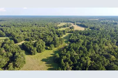 Tbd County Road 4025, Lovelady, TX 75851 - Photo 37