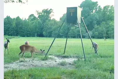 Tbd County Road 4025, Lovelady, TX 75851 - Photo 29