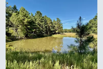 Tbd County Road 4025, Lovelady, TX 75851 - Photo 1