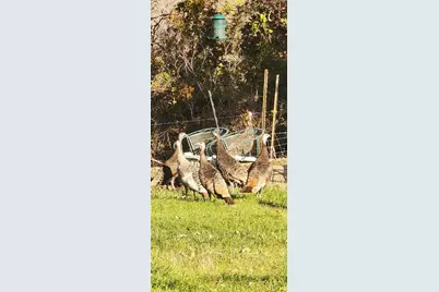 2354 Fm 2438, Seguin, TX 78155 - Photo 37