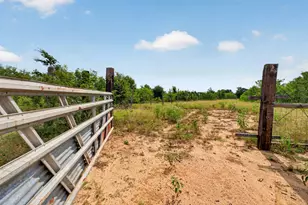 1689 FM2104, Paige, TX 78659 - Photo 33
