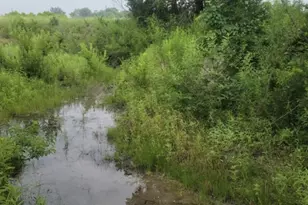 119 Delorean Cir, Burnet, TX 78611 - Photo 3