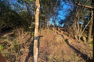 Tbd E Fm 1431, Marble Falls, TX 78654 - Photo 17